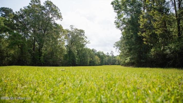 958± Acre High-Fence Ranch in Oakdale, Louisiana