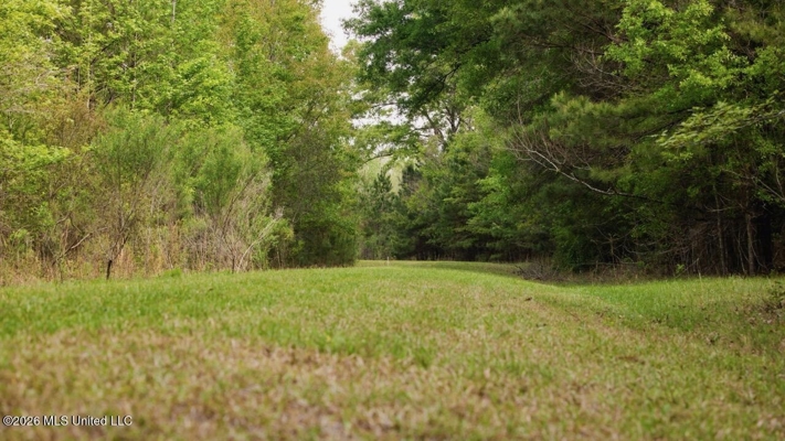 958± Acre High-Fence Ranch in Oakdale, Louisiana