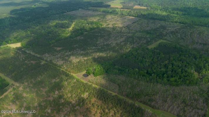 958± Acre High-Fence Ranch in Oakdale, Louisiana