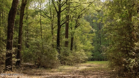958± Acre High-Fence Ranch in Oakdale, Louisiana - image 37