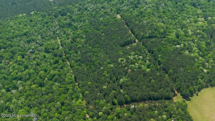 158± Acres with Custom Homes in Oakdale, Louisiana
