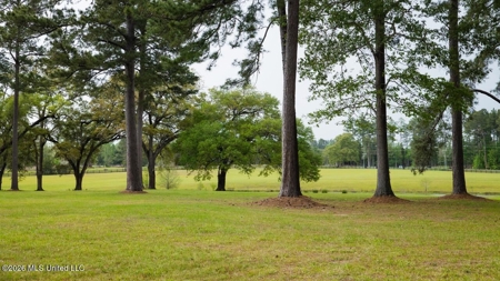 158± Acres with Custom Homes in Oakdale, Louisiana - image 41
