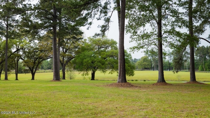 158± Acres with Custom Homes in Oakdale, Louisiana