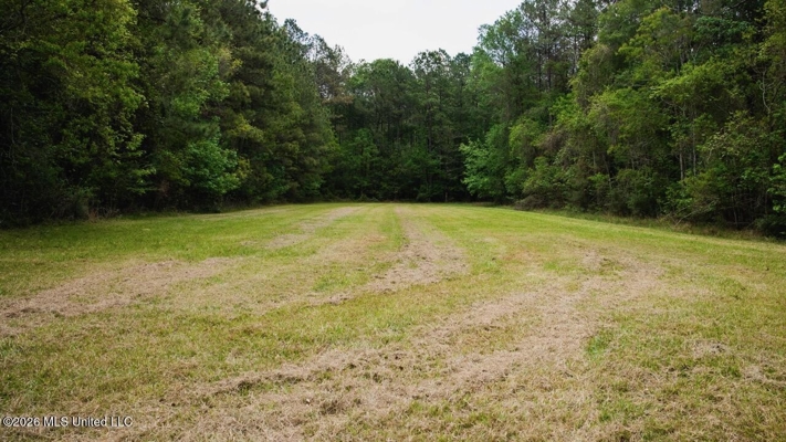 158± Acres with Custom Homes in Oakdale, Louisiana