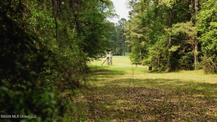 158± Acres with Custom Homes in Oakdale, Louisiana