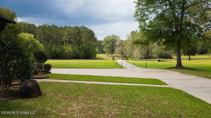 158± Acres with Custom Homes in Oakdale, Louisiana