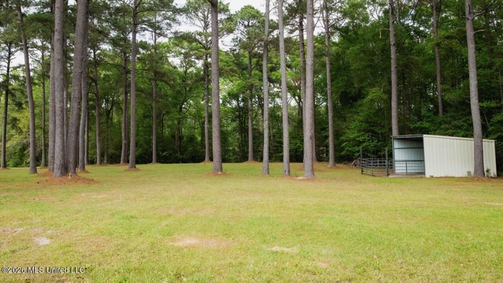 158± Acres with Custom Homes in Oakdale, Louisiana
