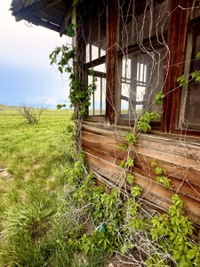 Gary & Vivian Taylor Ranch | Saco, MT - image 25