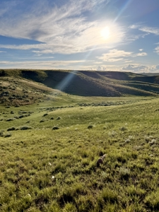 Gary & Vivian Taylor Ranch | Saco, MT - image 27
