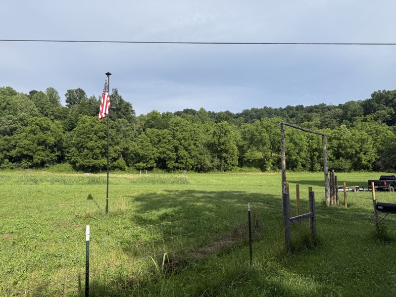 No Caption