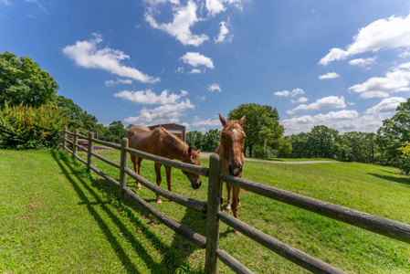 88-Acre Horse Farm with Custom Ranch Home | Gainesville, MO - image 34