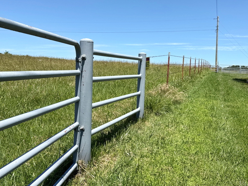 No Caption