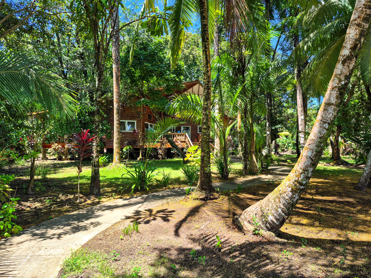 Titled Beachfront Home — Isla Carenero - 35