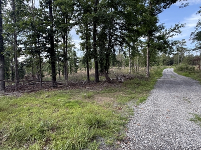 Hunting And Building Land For Sale In North Central Arkansas - image 7