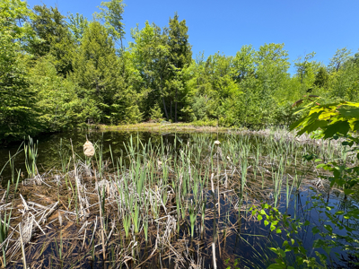 Unique Eco Friendly Home on 18.7 Acres - Waterford, Maine - image 35
