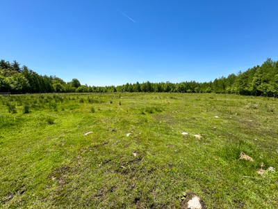Unique Eco Friendly Home on 18.7 Acres - Waterford, Maine - image 31