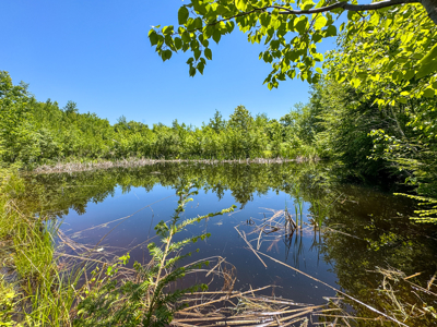 Unique Eco Friendly Home on 18.7 Acres - Waterford, Maine - image 36