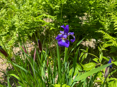 Unique Eco Friendly Home on 18.7 Acres - Waterford, Maine - image 37