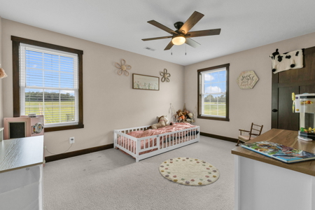 Country Estate, Equine Property, Hobby Farm - image 38