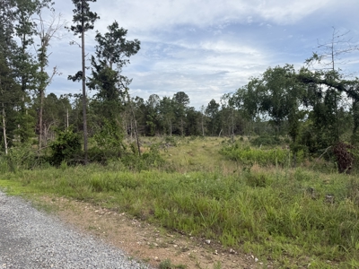 Unrestricted Land For Sale In North Central Arkansas - image 5