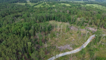 Unrestricted Land For Sale In North Central Arkansas - image 3