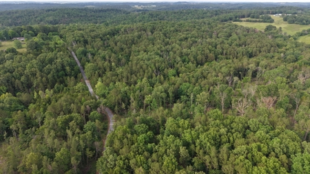 Unrestricted Land For Sale In North Central Arkansas - image 1