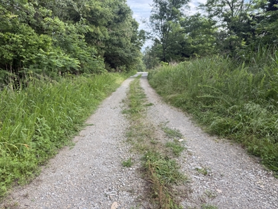 Unrestricted Land For Sale In North Central Arkansas - image 6
