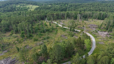 Unrestricted Land For Sale In North Central Arkansas - image 2