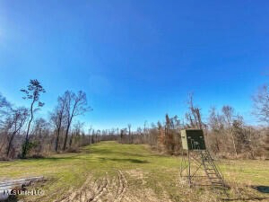 Jefferson County, MS Hunting Club Ownership Share
