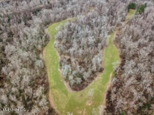Jefferson County, MS Hunting Club Ownership Share