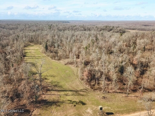 Jefferson County, MS Hunting Club Ownership Share