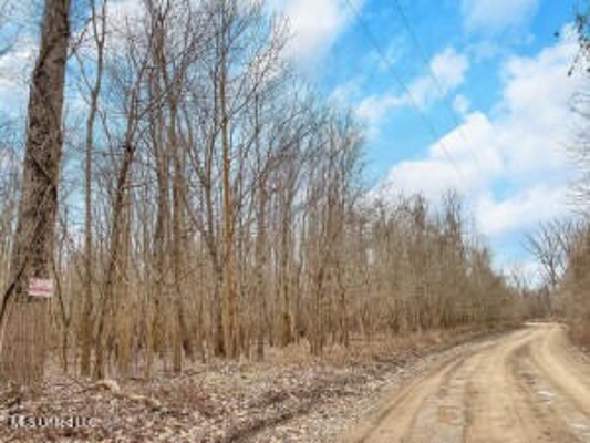 Jefferson County, MS Hunting Club Ownership Share