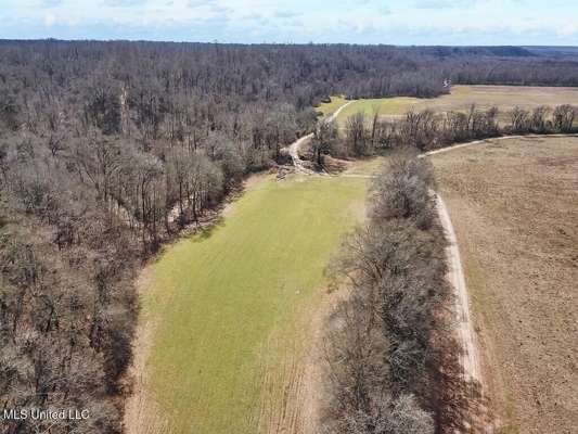 Jefferson County, MS Hunting Club Ownership Share