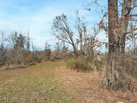 Jefferson County, MS Hunting Club Ownership Share