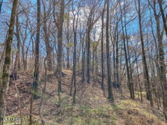 Jefferson County, MS Hunting Club Ownership Share