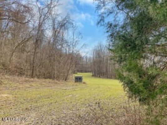 Jefferson County, MS Hunting Club Ownership Share