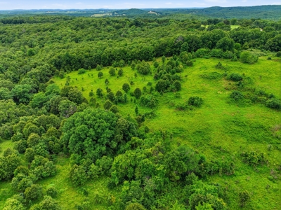 27.99 Acres Near Bull Shoals Lake in the Missouri Ozarks - image 17