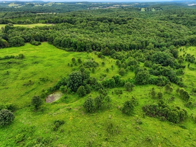 27.99 Acres Near Bull Shoals Lake in the Missouri Ozarks - image 3