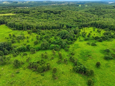 27.99 Acres Near Bull Shoals Lake in the Missouri Ozarks - image 5