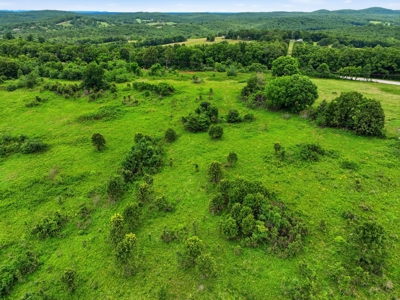 27.99 Acres Near Bull Shoals Lake in the Missouri Ozarks - image 19