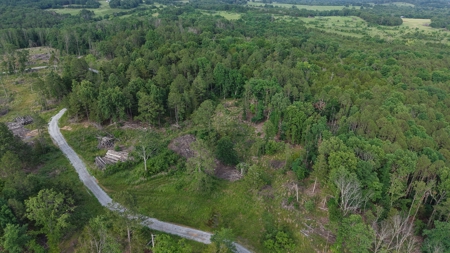 Hunting And Building Land For Sale In North Central Arkansas - image 4