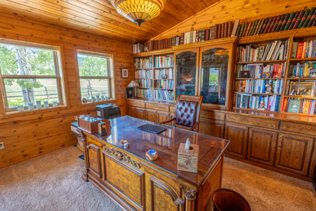 Elk Vista Ranch: Mountain Home & Acreage For Sale in Paonia, CO - image 46