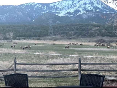 Elk Vista Ranch: Mountain Home & Acreage For Sale in Paonia, CO - image 49