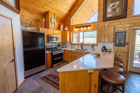 Elk Vista Ranch: Mountain Home & Acreage For Sale in Paonia, CO - image 45