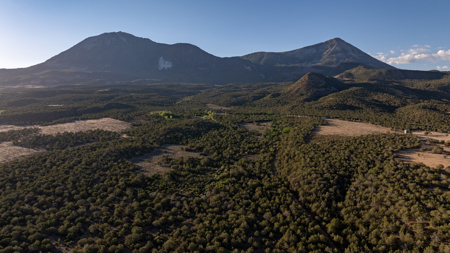 Elk Vista Ranch: Mountain Home & Acreage For Sale in Paonia, CO - image 40