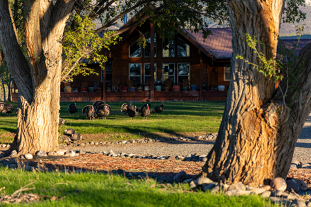 Elk Vista Ranch: Mountain Home & Acreage For Sale in Paonia, CO - image 47