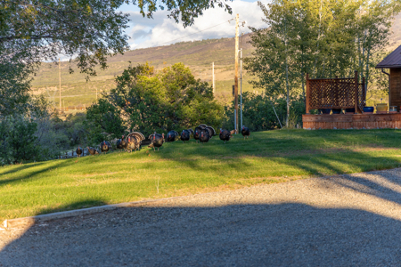 Elk Vista Ranch: Mountain Home & Acreage For Sale in Paonia, CO - image 48