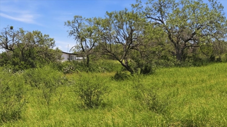 Unrestricted 4 Acres with Utilities in Three Rivers, TX - image 6
