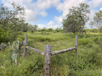 Unrestricted 4 Acres with Utilities in Three Rivers, TX - image 20