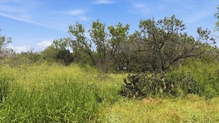 Unrestricted 4 Acres with Utilities in Three Rivers, TX - image 7